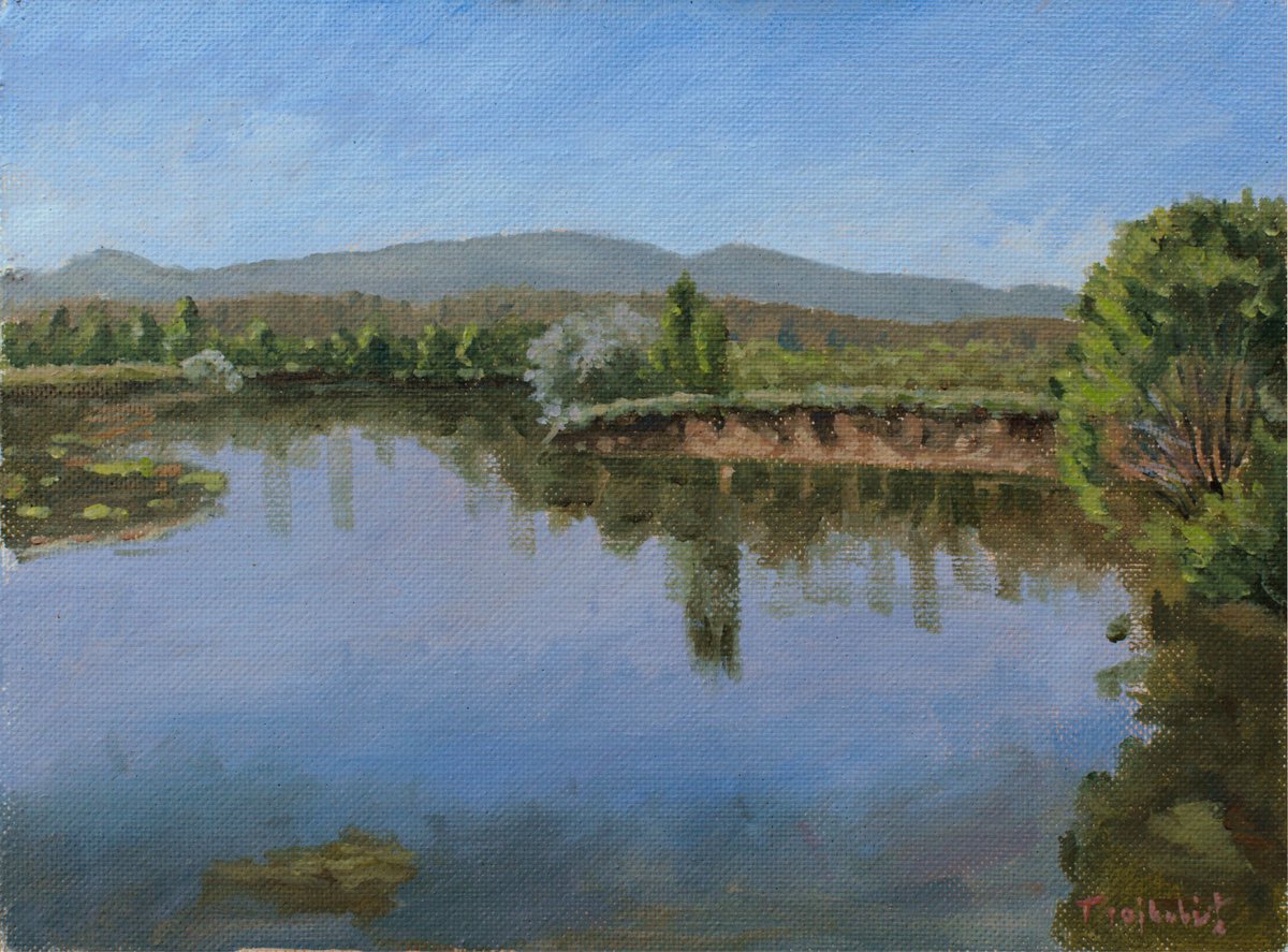 Impressionistic Landscape Oil Painting By Dejan Trajkovic, 19 X 15, Plein Air, Original Artwork