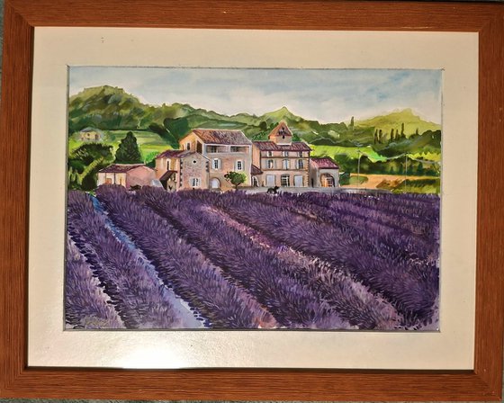 Lavender afternoon