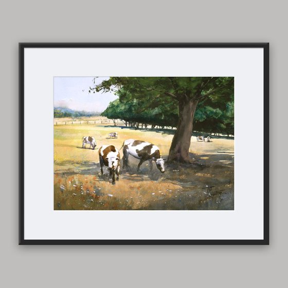 Cows In The Shadow Of A Tree