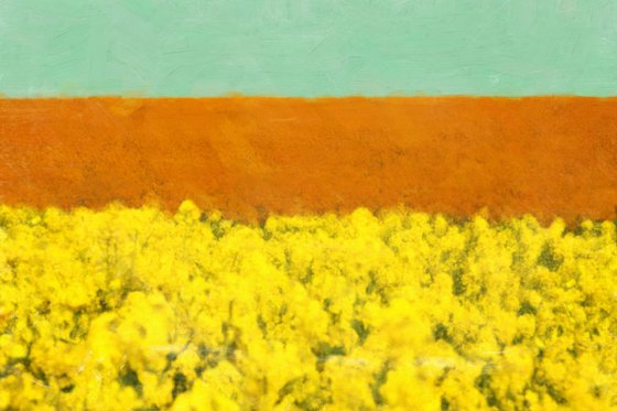 Yellow fields