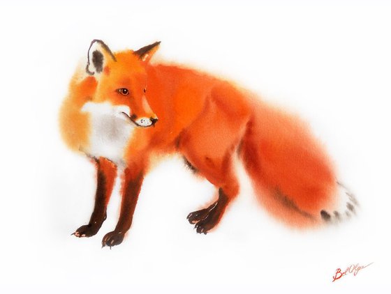 Red Fox - foxy - fox portrait - fox watercolor - fiery foxes - fiery fox