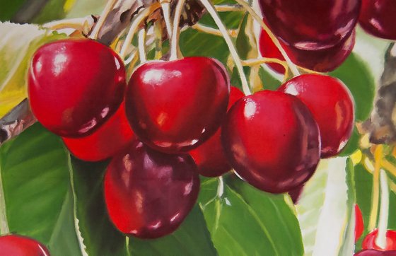 Cherries