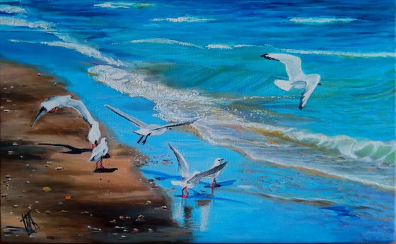 Seagulls at Beach. The Skyand the Sea. Seacost
