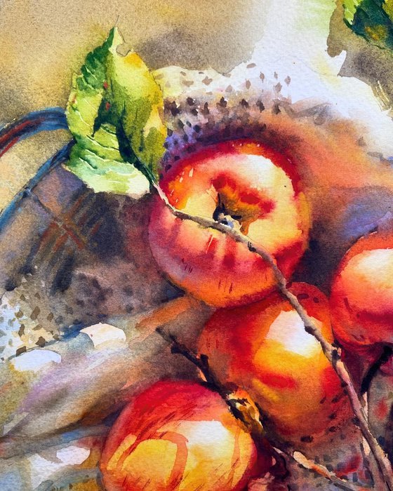 Apple painting watercolor. The Basket of Apples