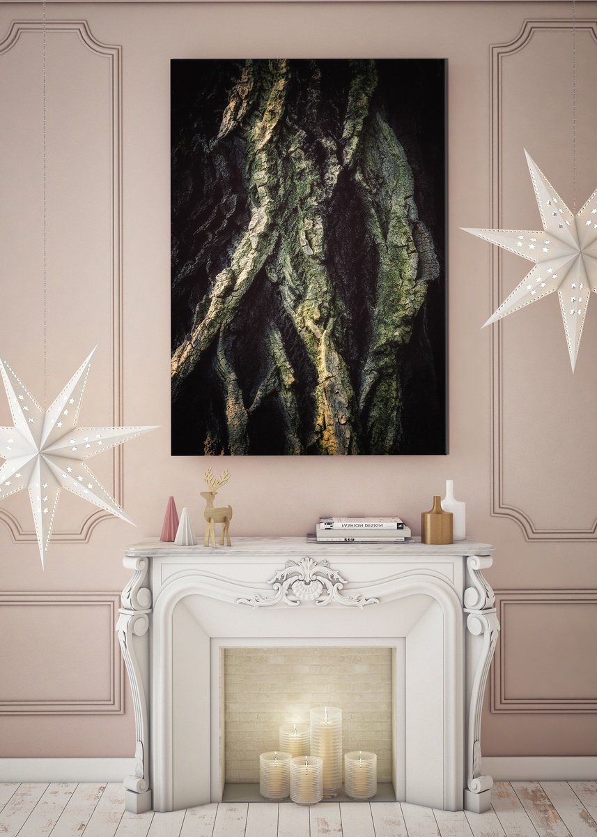 Abstract Photograph By Karim Carella, 31 X 45", Lifeblood #7, Original Artwork