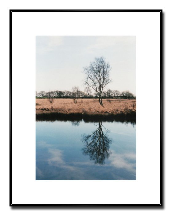 Solitary Reflection 3 - Unmounted (30x20in)
