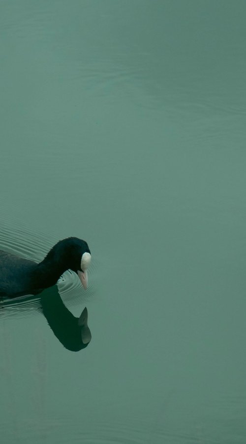 Alone in Water by Kristine Okuneva