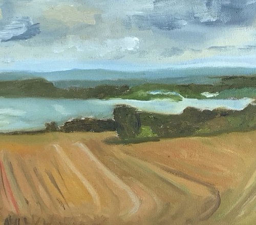 View over Pegwell Bay by Julian Lovegrove Art