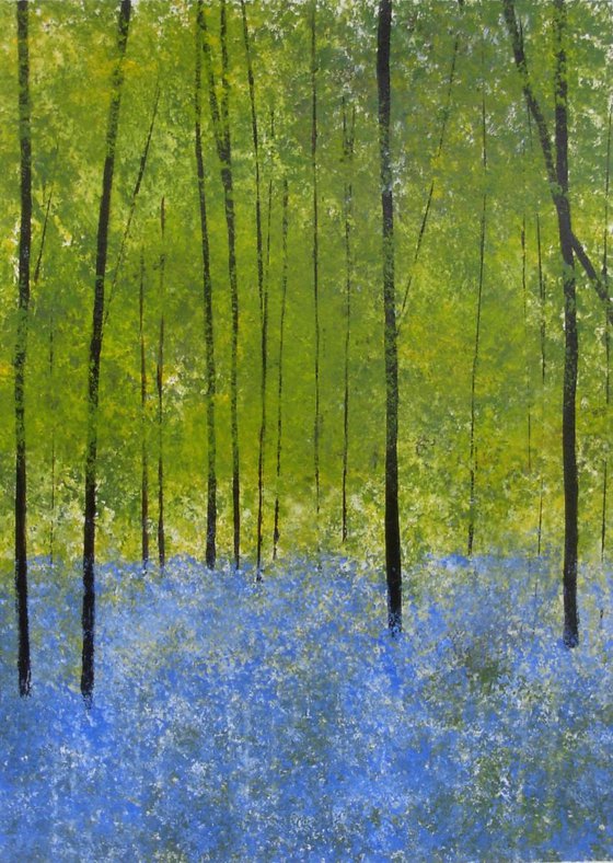 Bluebell Woods 2