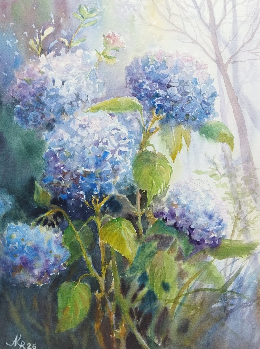 Impressionistic Watercolour , Blue Hydrangeas Flowers By Ann Krasikova, 13 X 17, Artwork For Sale On Artfinder