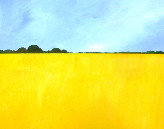 Rapeseed Fields