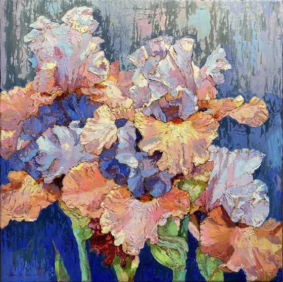 Irises on a gray-blue background