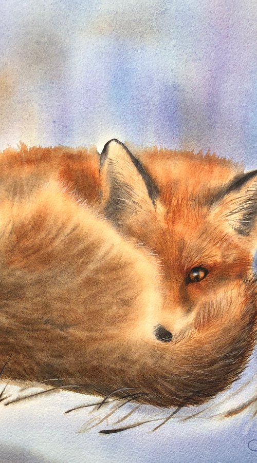 Winter fox by Alina Karpova