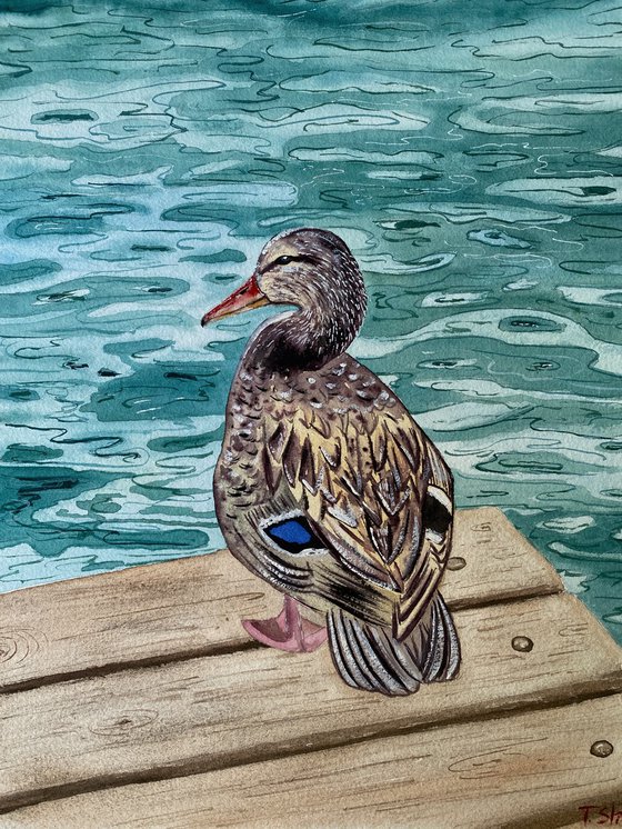 Watercolor duck near the water