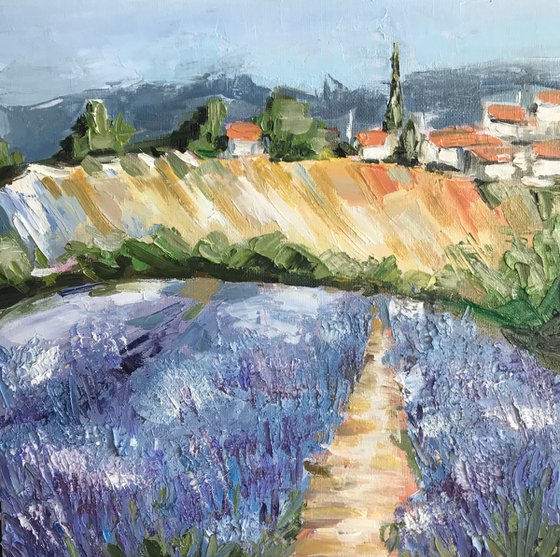 Provence lavender fields