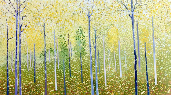 Yellow birches