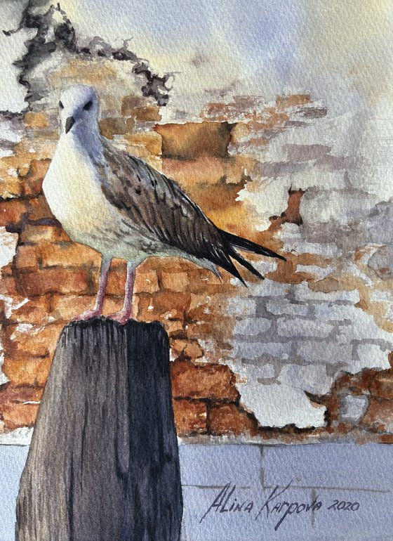 Seagull and old brick wall Venice