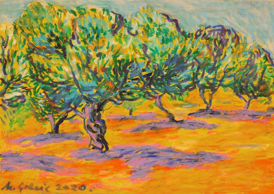 Olive grove No 24