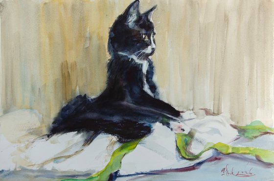 Сat with a green ribbon