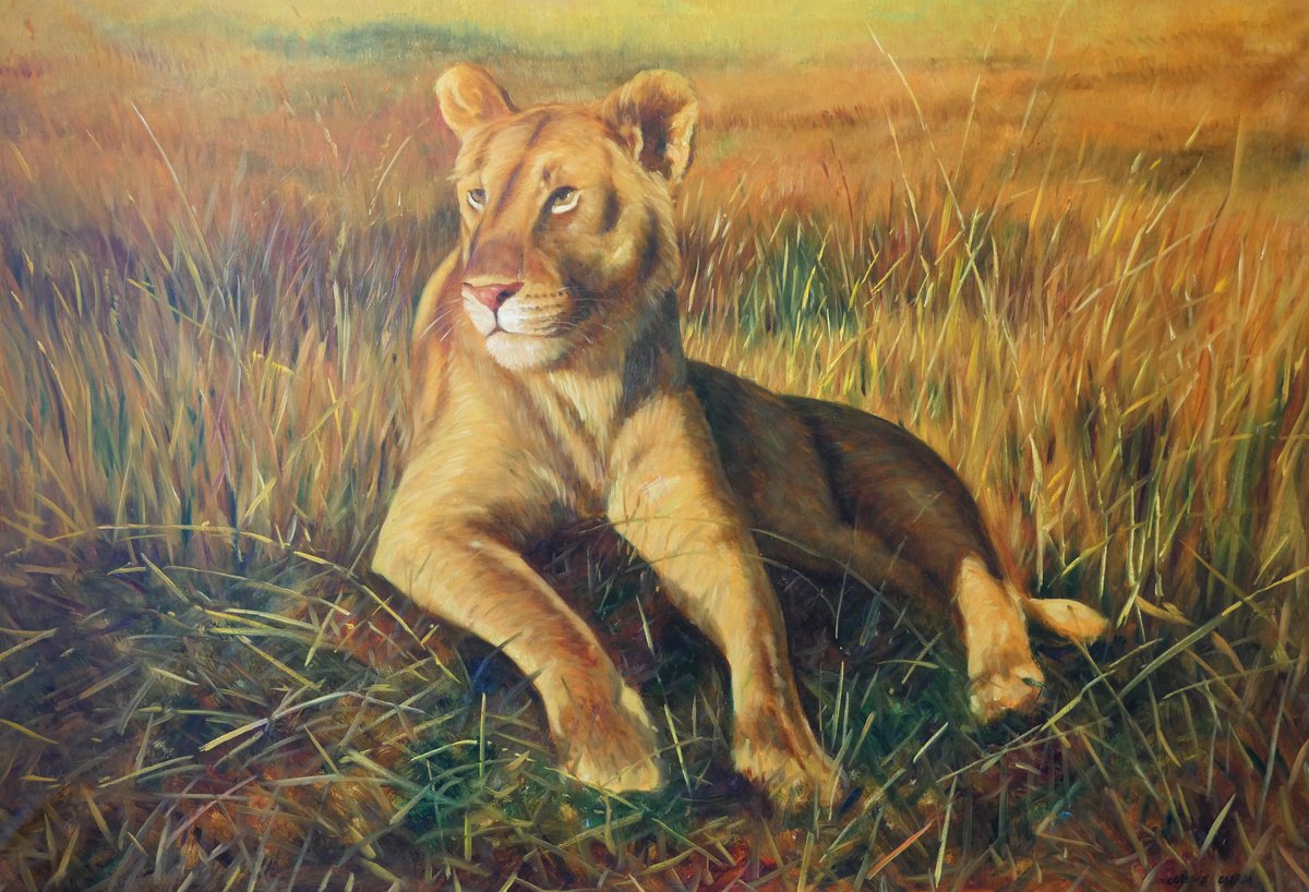 Impressionistic Animal Oil Painting By Claudio Ciardi, 39 X 28, Lioness, Original Artwork