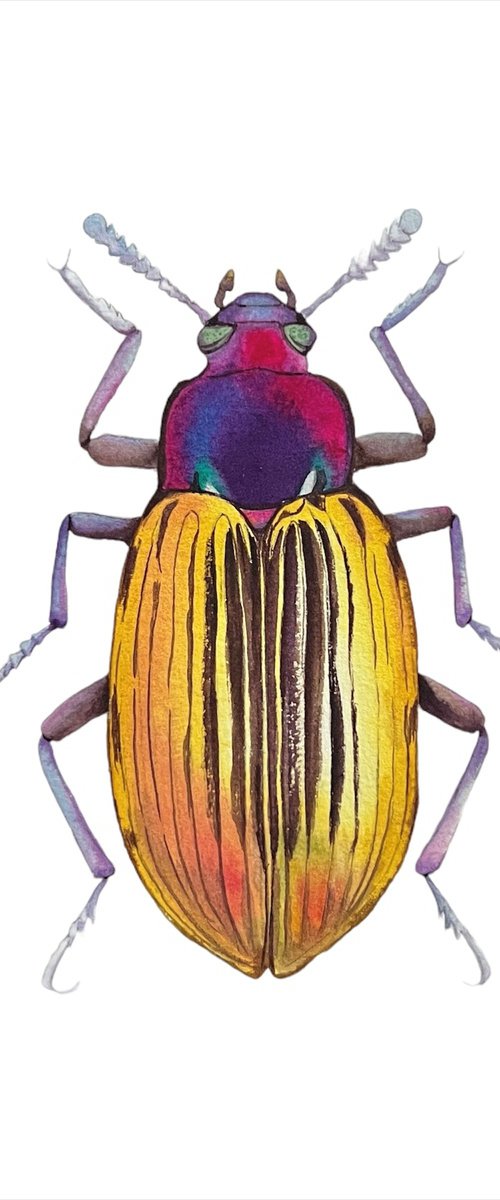 Golden beetle. by Nataliia Kupchyk