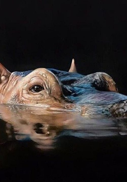 Night-time Encounter by Clare Parkes