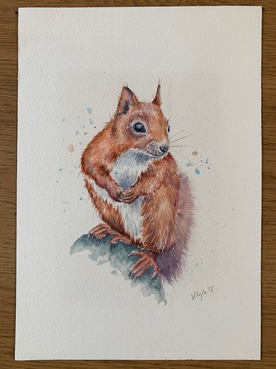 Red squirrel Watercolour