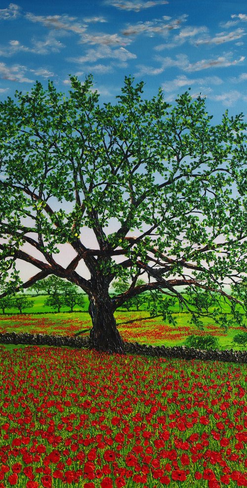 A feild of Poppies by Hazel Thomson