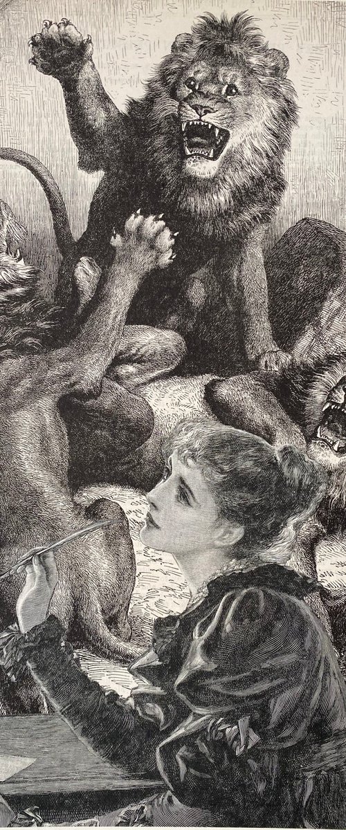 Patricia disturbed by lions by Tudor Evans