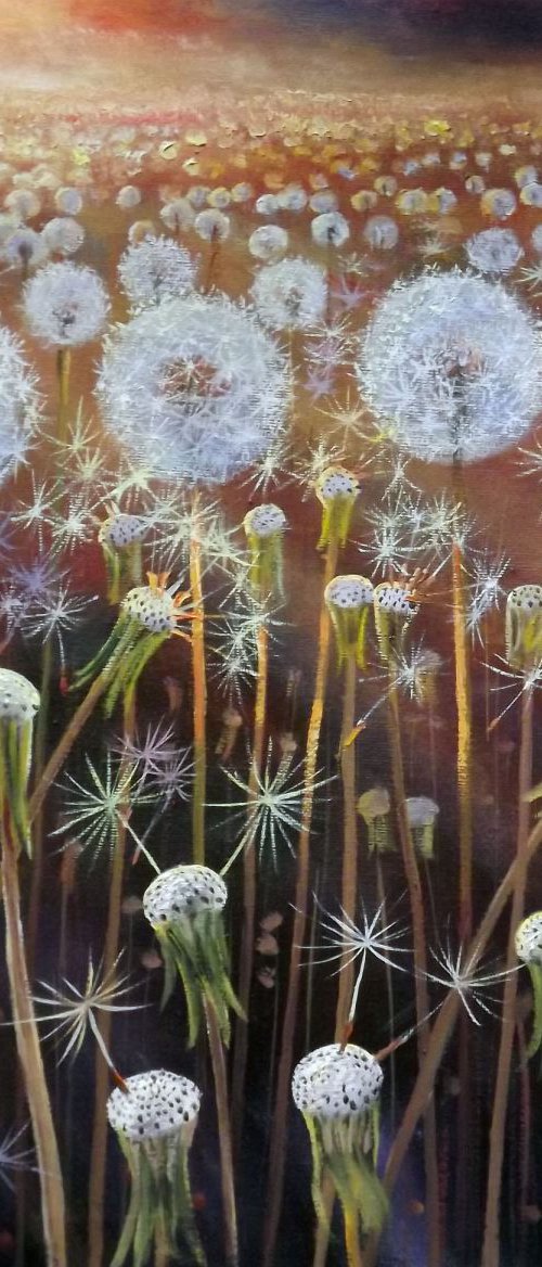 Dandelions by Oleg Riabchuk