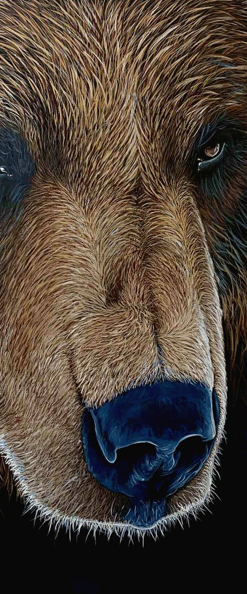 Brown Bear Portrait by Elena Adele Dmitrenko