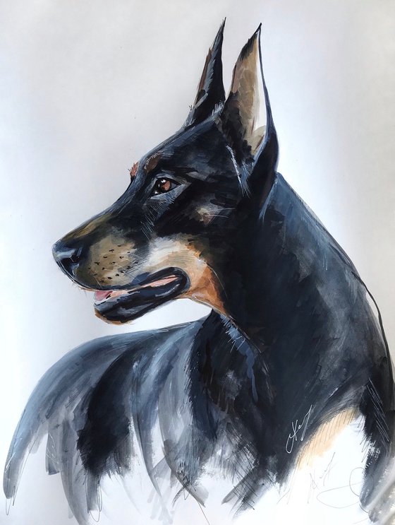 Acrylic watercolor ink painting pet portrait, Doberman Pincher, 15x21 inch