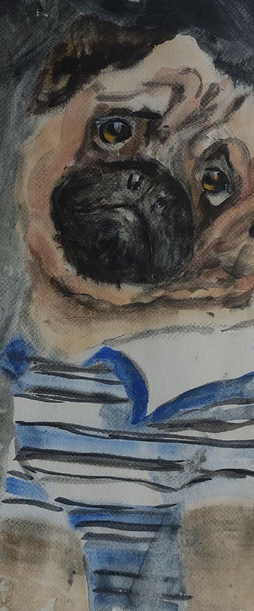 Pug (Mops) Dog by VedrinaArt