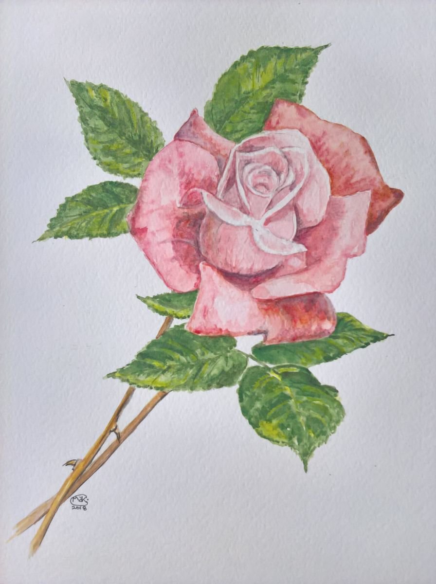 Photorealistic Botanical Watercolour By Marjansart, 9 X 11", Pink Rose, Original Artwork