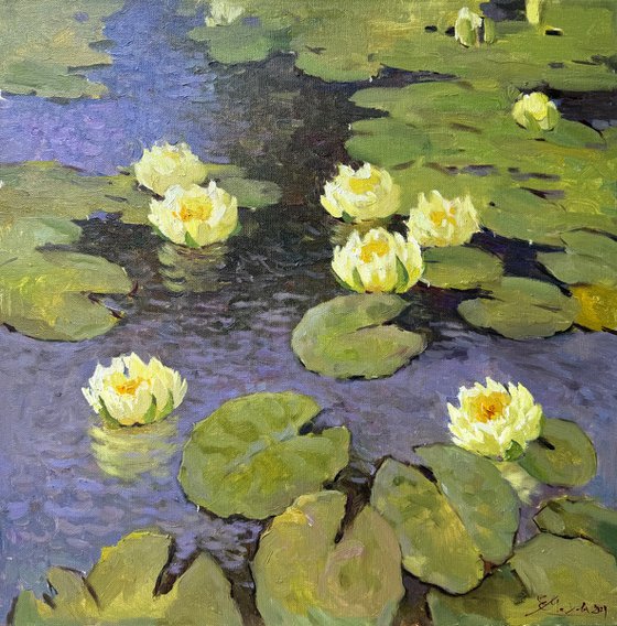 Water Lilies