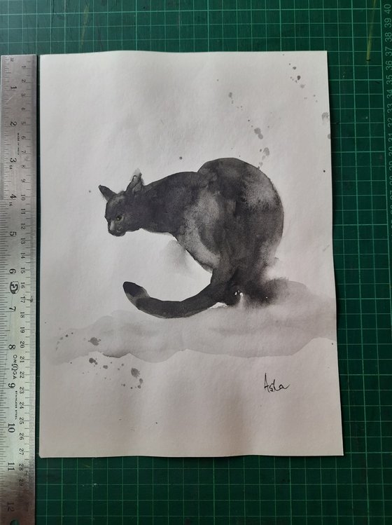 The Black Cat Crouching