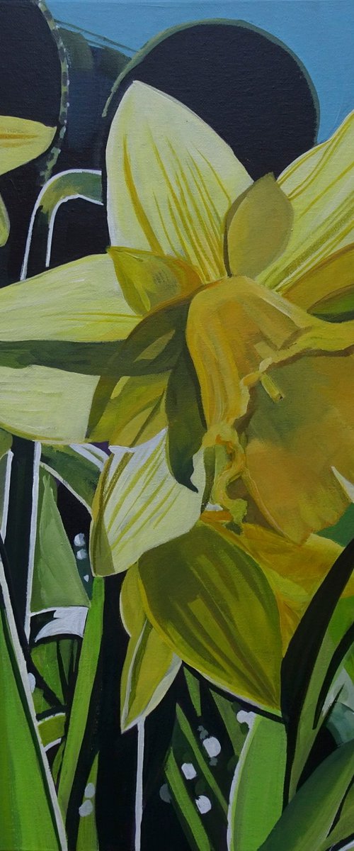 Daffodils In The Spring Sunshine by Joseph Lynch