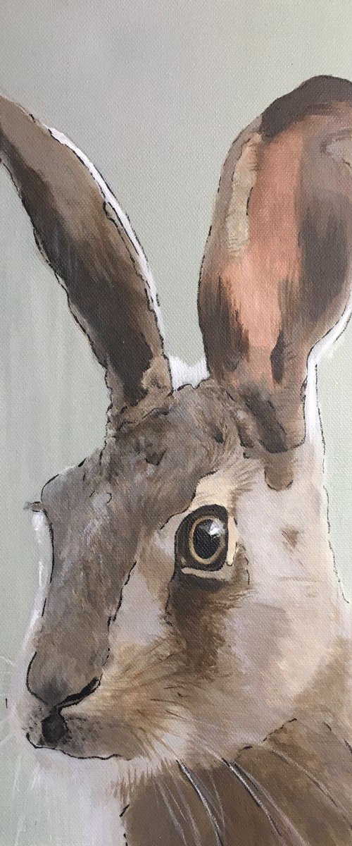 Hare by Paul Hardern