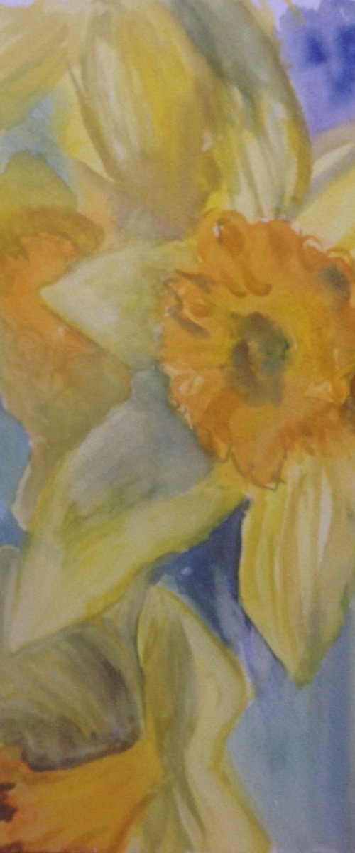 Daffodils by Sandra Haney