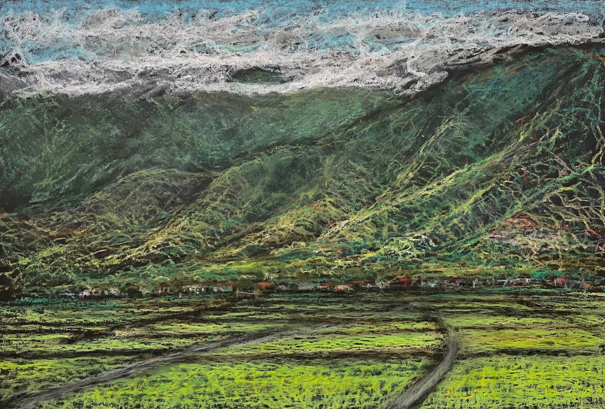 Chihshang Ricefields, Taitung by David Lloyd