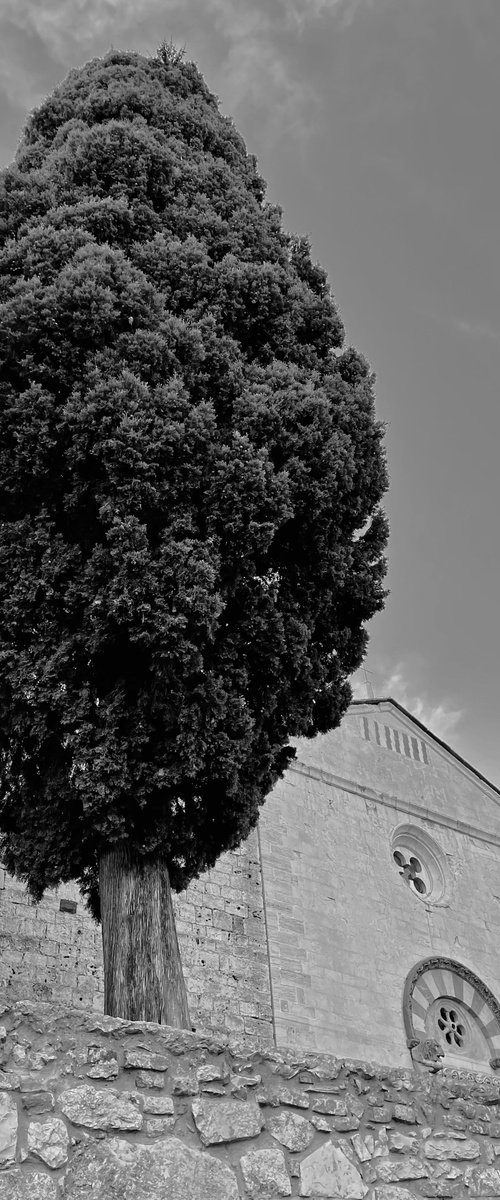 WL#189 Suvereto by Mattia Paoli