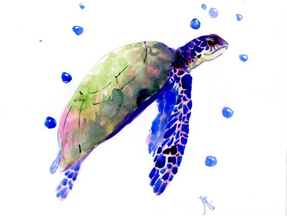 Sea Turtle