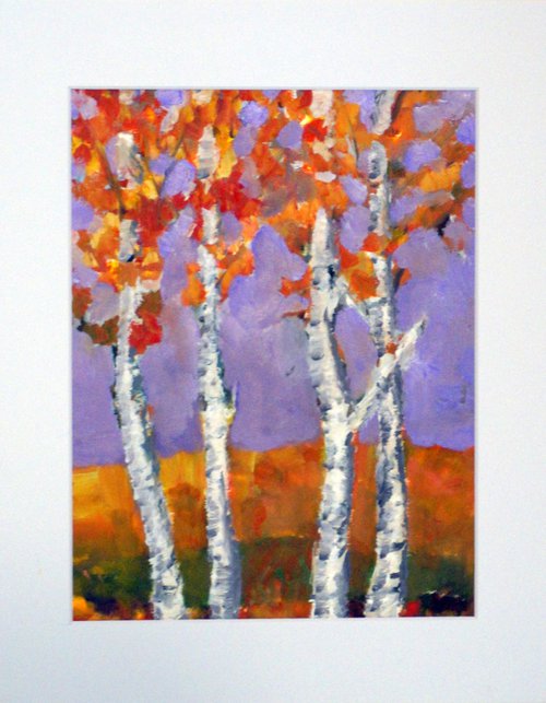 Birch Trees by katy hawk