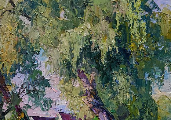 Willows near the yard