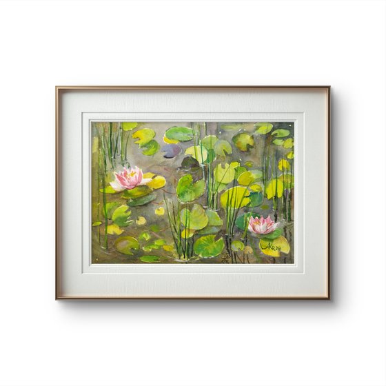 Pond with water Lilies