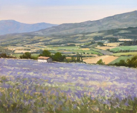 Lavender Fields near Nyons