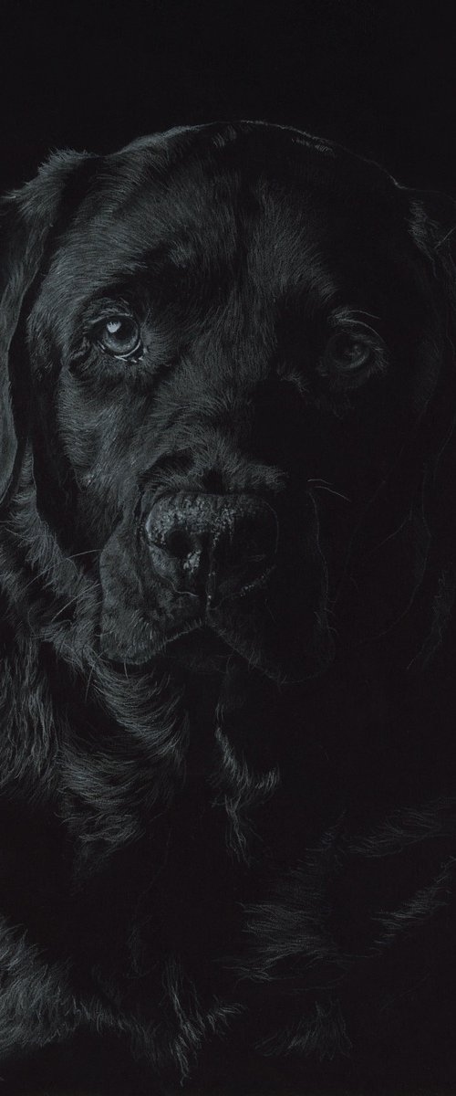 Silent Gaze by Annika Schmitt