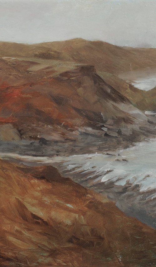 WIDEMOUTH BAY by Duncan Hopkins