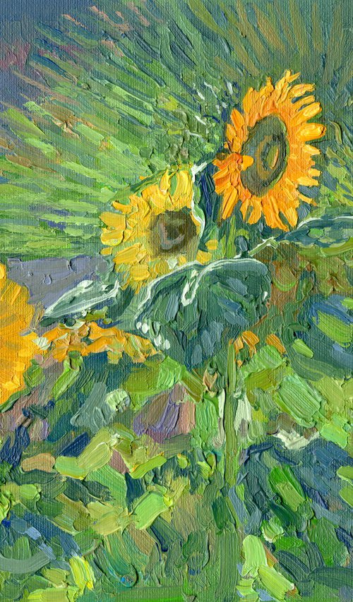 Sunflowers. Turunc by Simon Kozhin