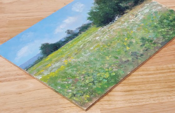 Meadow in Provence